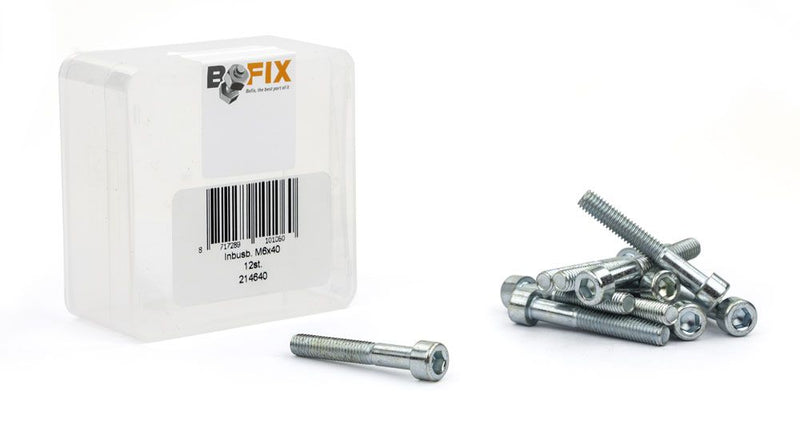 Afbeelding laden in galerijviewer, Bofix inbusbout m6x40 verzinkt (12st)