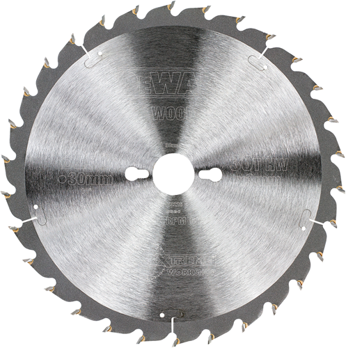 Afbeelding laden in galerijviewer, Dewalt accessoires cirkelzaagbl. s40 250x30x30t - dt4226-qz
