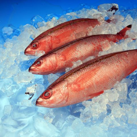 Load image into Gallery viewer, Falcon Eyes Achtergrondpapier 80x100 cm met Kleurverloop 7st.