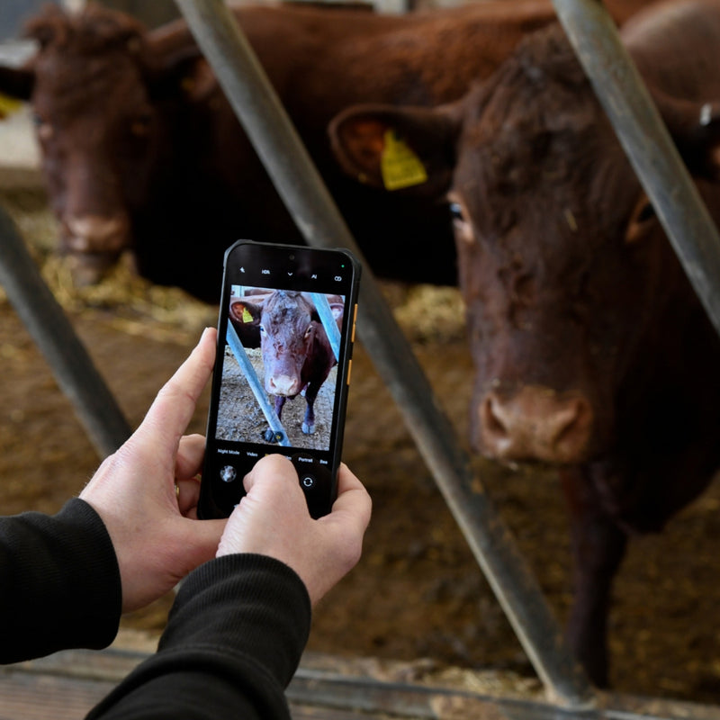 Laden Sie das Bild in Galerie -Viewer, Jcb toughphone e10 (zwart | android 15 | dual-sim)