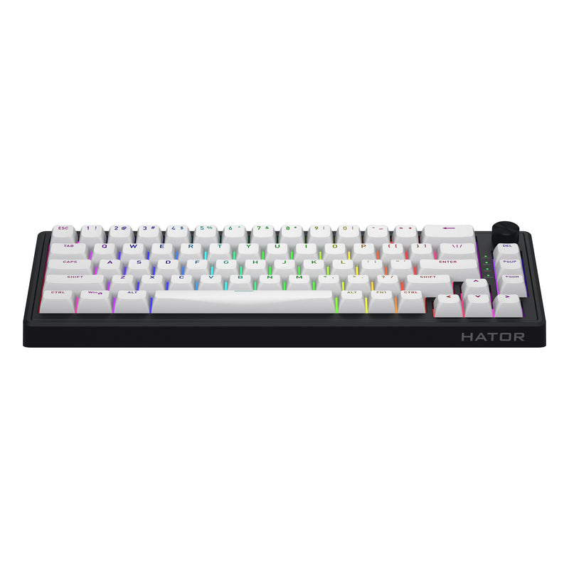 ギャラリービューアに画像をロードする, Hator skyfall mag ultra 8k rgb mechanisch gaming toetsenbord (zwart, us lay-out (qwerty), hator aurum ice, 65%, rgb, double-shot pbt, hot-swap)