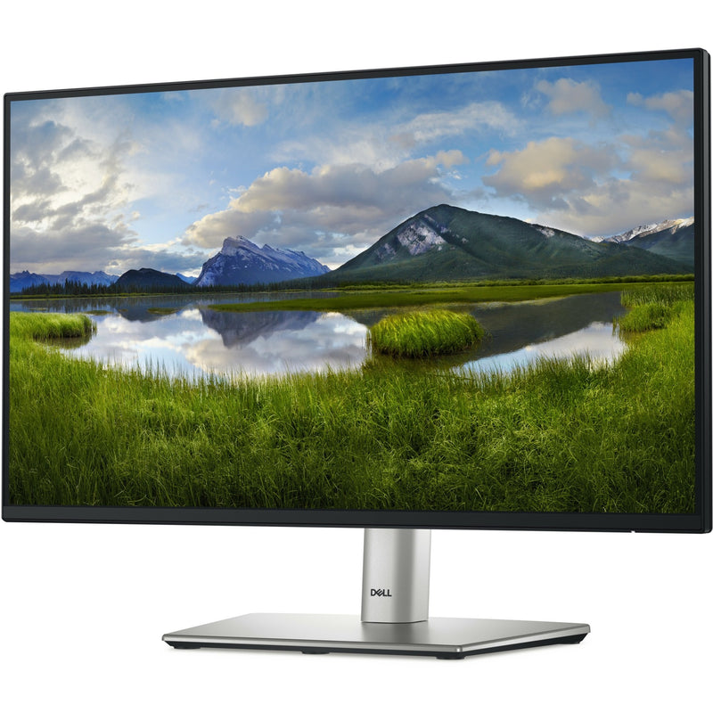 ギャラリービューアに画像をロードする, Dell p2225h 21.5 monitor (zwart zilver, hdmi, displayport, 3x usb-a, usb-b, usb-c)