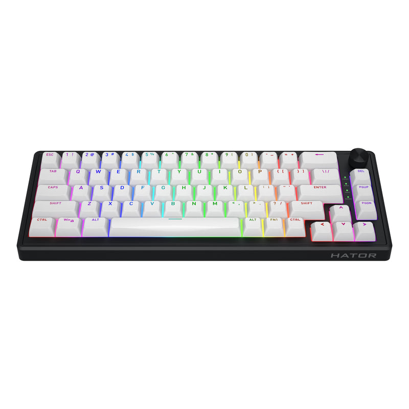 ギャラリービューアに画像をロードする, Hator skyfall mag ultra 8k rgb mechanisch gaming toetsenbord (zwart, us lay-out (qwerty), hator aurum ice, 65%, rgb, double-shot pbt, hot-swap)