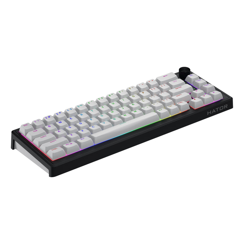 ギャラリービューアに画像をロードする, Hator skyfall wireless rgb mechanisch gaming toetsenbord (zwart, us lay-out (qwerty), hator aurum sterling, 65%, rgb, double shot abs, hot-swap, 2.4ghz | bluetooth | usb-c)