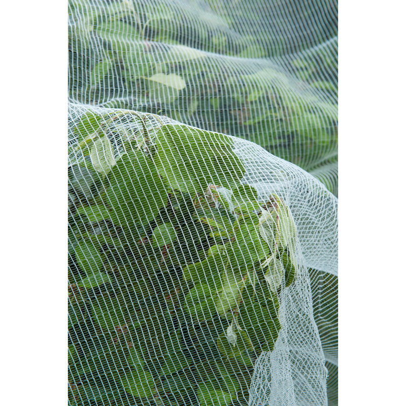 ギャラリービューアに画像をロードする, Nature anti-insectengaas insectenhor (wit transparant, 5.2 x 5 m)