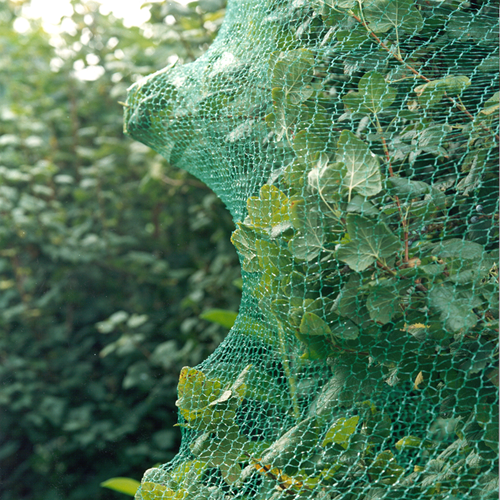 Afbeelding laden in galerijviewer, Connex vogelnet fijnmazig 5x4m 6g m2 - flor78154