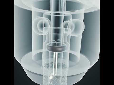 Load image into Gallery viewer, Schwalbe tube scv17 28 47-622 635 ib 60mm