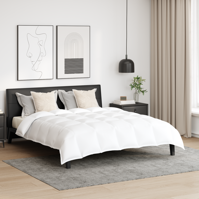 Chargez l'image dans la visionneuse de la galerie, Vidaxl dekbed set met kussen 3 pcs wit donsveertjes