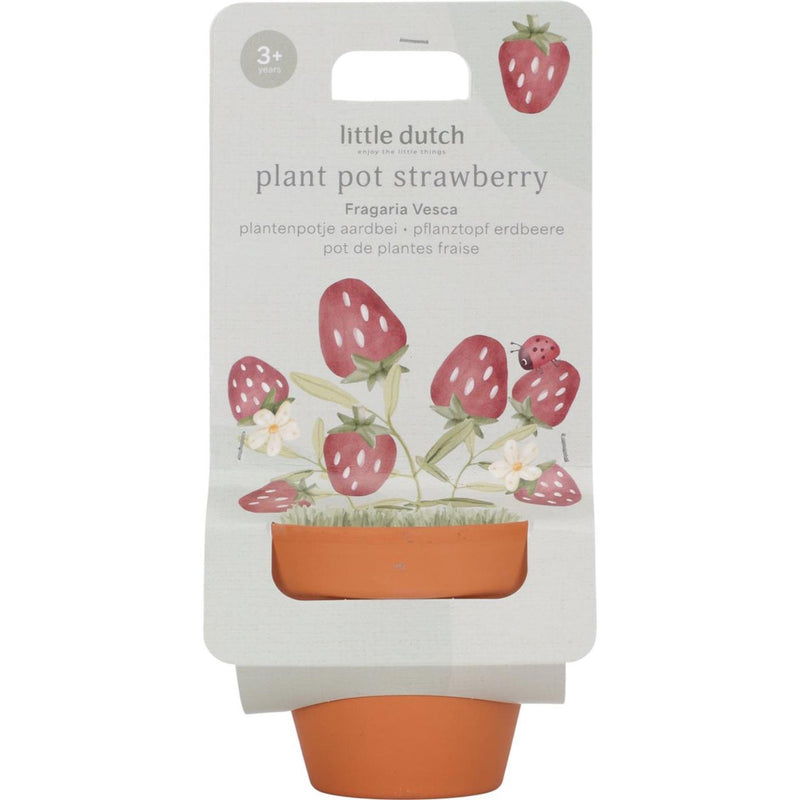 Cargue la imagen en el visor de la galería, Little dutch plantenpotje aardbei