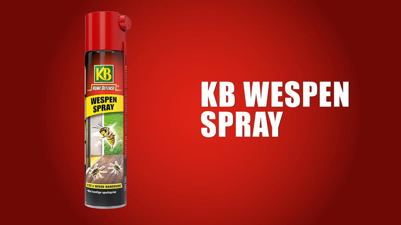 Load image into Gallery viewer, Kb bestrijding kb wespen spray 400ml