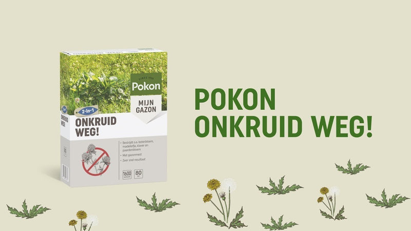 Load image into Gallery viewer, Pokon producten onkruid weg 80 m2 1600 gr