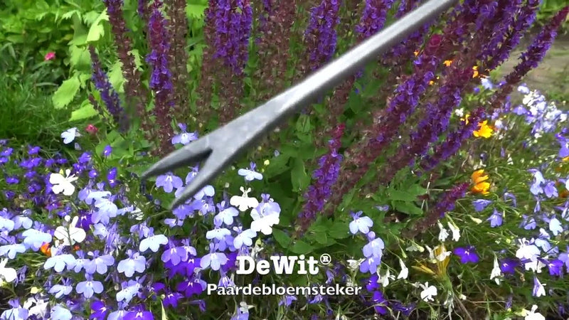 Afbeelding laden in galerijviewer, De wit producten bio paardenbloemsteker essen handvat 14cm dewit
