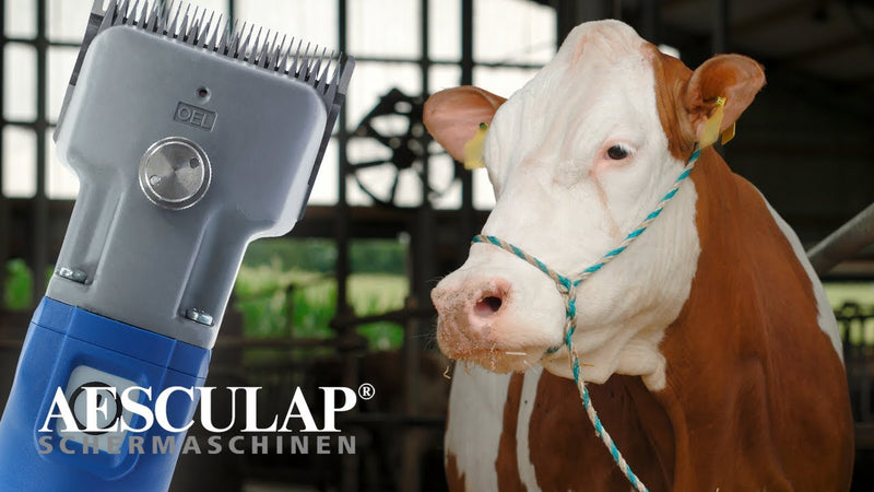 Load image into Gallery viewer, Aesculap econom producten veescheermachine econom cordless plus2 accus 1