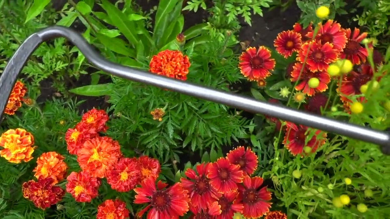 Laden Sie das Bild in Galerie -Viewer, De wit producten cultivator 1 tands essen steel 140cm dewit