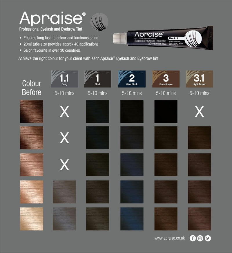 Load image into Gallery viewer, Apraise wimperverf grijs nr. 1.1
