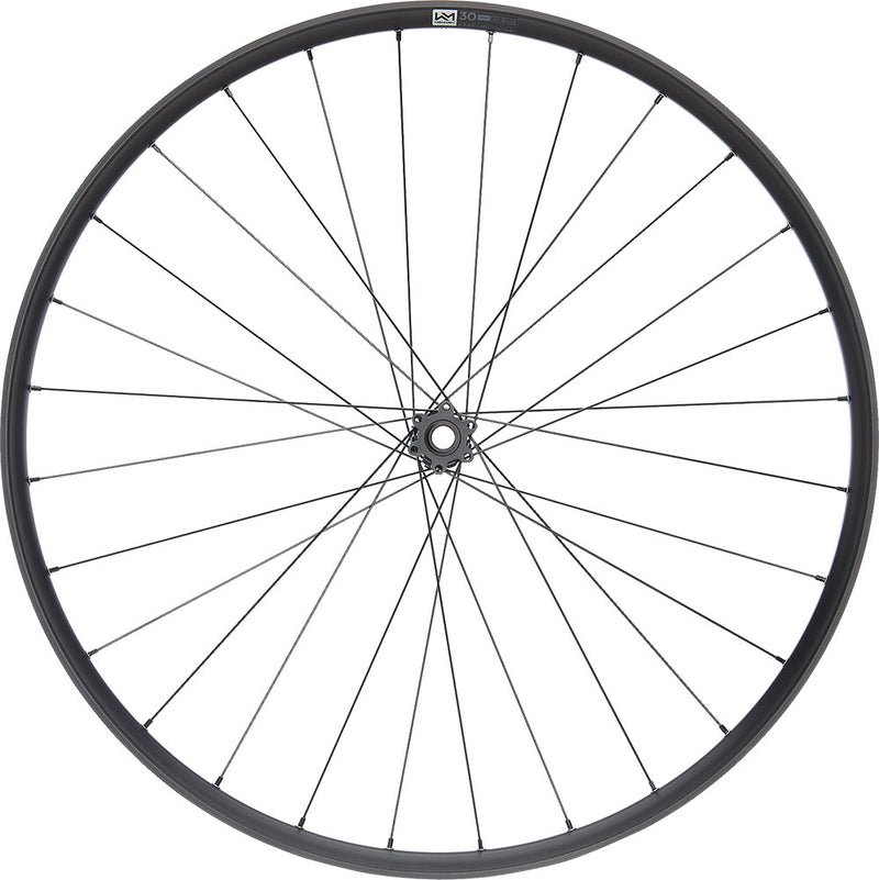 Chargez l'image dans la visionneuse de la galerie, Newmen performance 30 light 29 6-bolt 15x110 fade front wheel