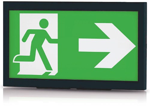 Laden Sie das Bild in Galerie -Viewer, Enzo profolux led noodverlichting 3w in opbouw ip40 zwart - 5021725