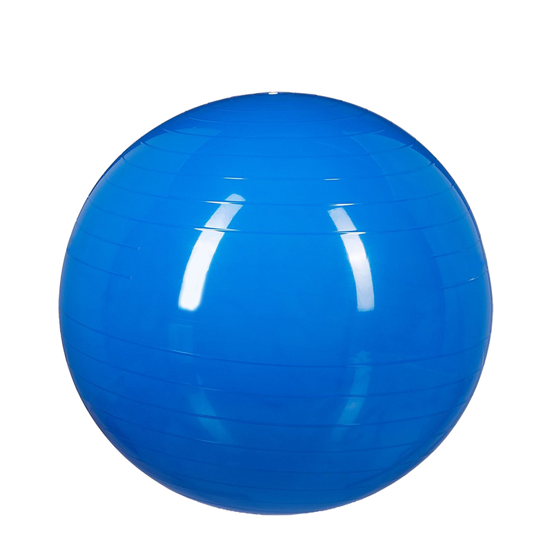 Load image into Gallery viewer, Relaxdays gymnastiekbal blauw ø55cm