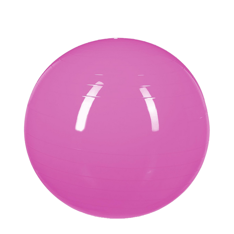 Load image into Gallery viewer, Relaxdays gymnastiekbal roze ø55cm