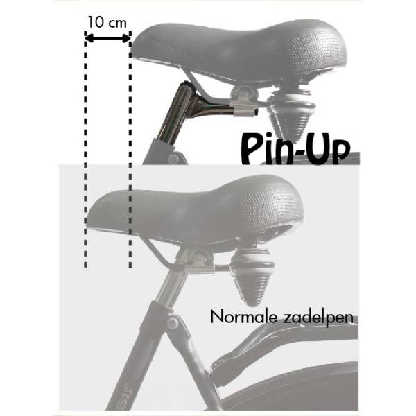 Load image into Gallery viewer, Zadelpen vast pin up 25,4 x 300 mm staal zilver