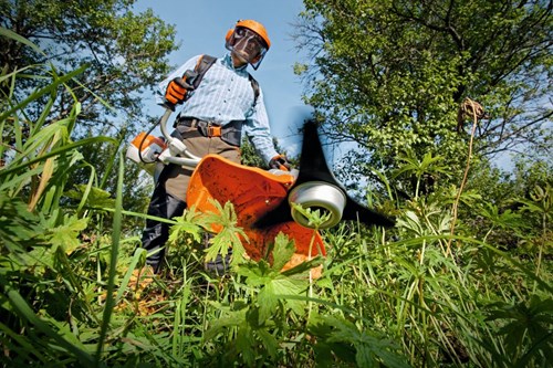 Load image into Gallery viewer, Stihl fs 240 bosmaaier | 37,7 cm³ | 1,7 kw | dm 250-3 - 41472000356