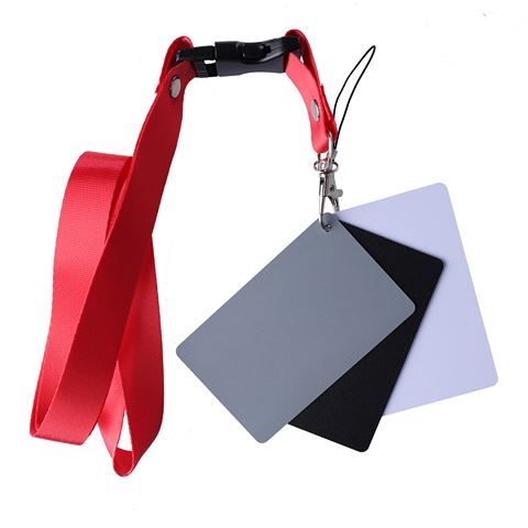 Load image into Gallery viewer, StudioKing Digitale Grijskaart SKGC-31S