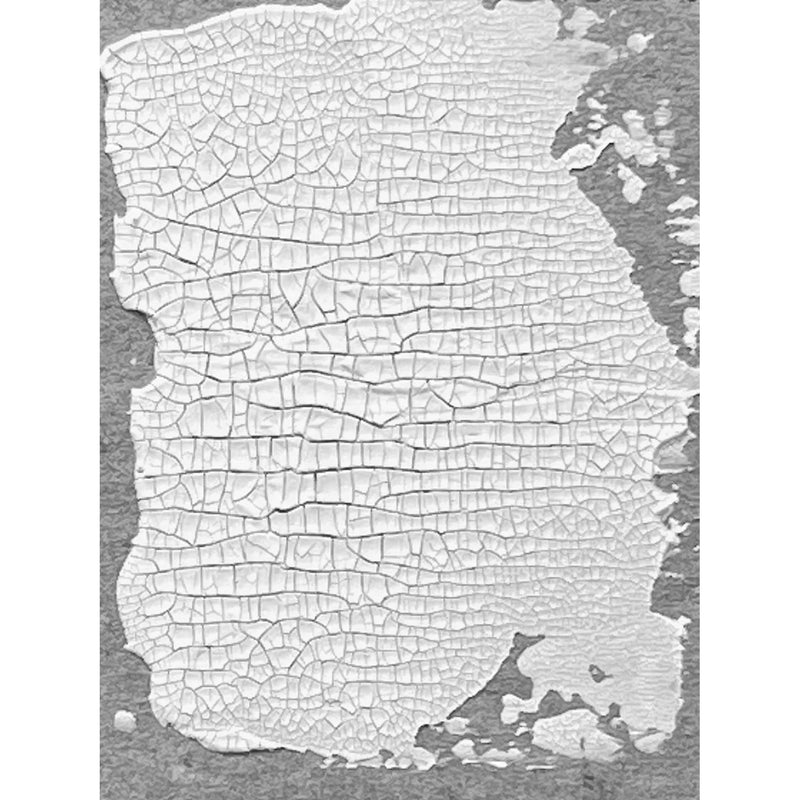 Load image into Gallery viewer, Ranger ink ranger • tim holtz distress texture paste crackle