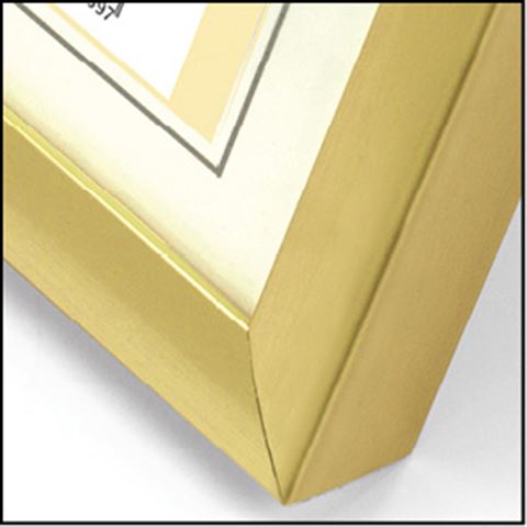 Load image into Gallery viewer, Zep Fotolijst KG5 Goud 30x40 cm