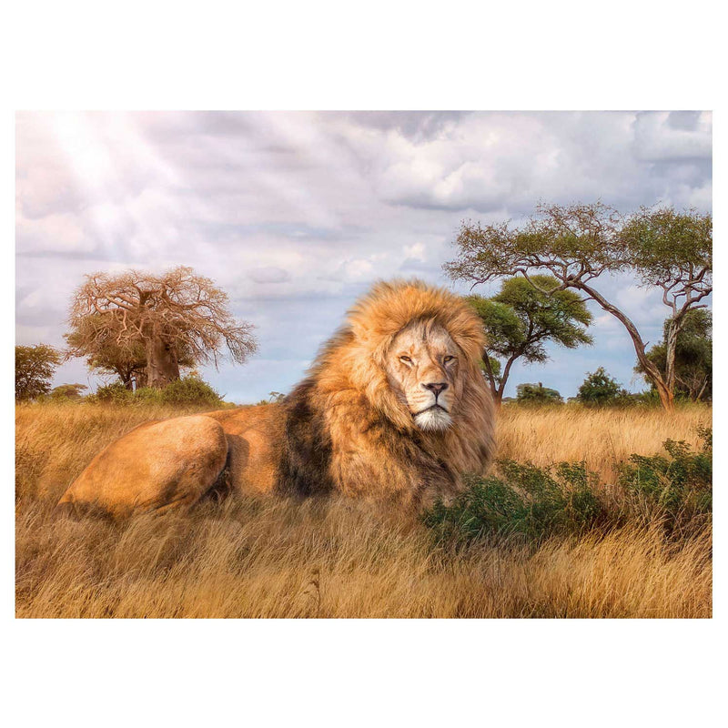 Load image into Gallery viewer, Clementoni Puzzel De Leeuwenkoning, 1000st.
