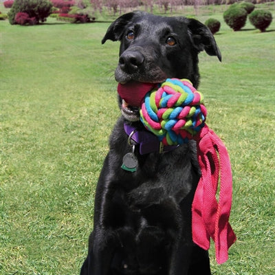 Load image into Gallery viewer, Kong Wubba weaves assorti