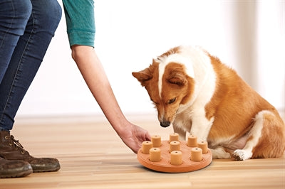 Load image into Gallery viewer, Nina ottosson Dog smart composiet