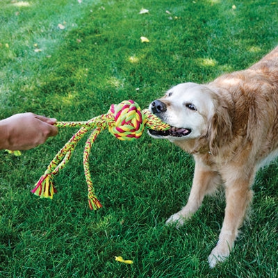 Load image into Gallery viewer, Kong Wubba weaves touw assorti