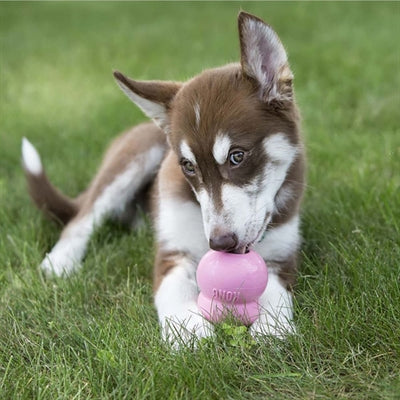 Load image into Gallery viewer, Kong Easy treat puppy