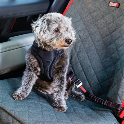 Load image into Gallery viewer, Kong Autogordel hond deluxe swivel