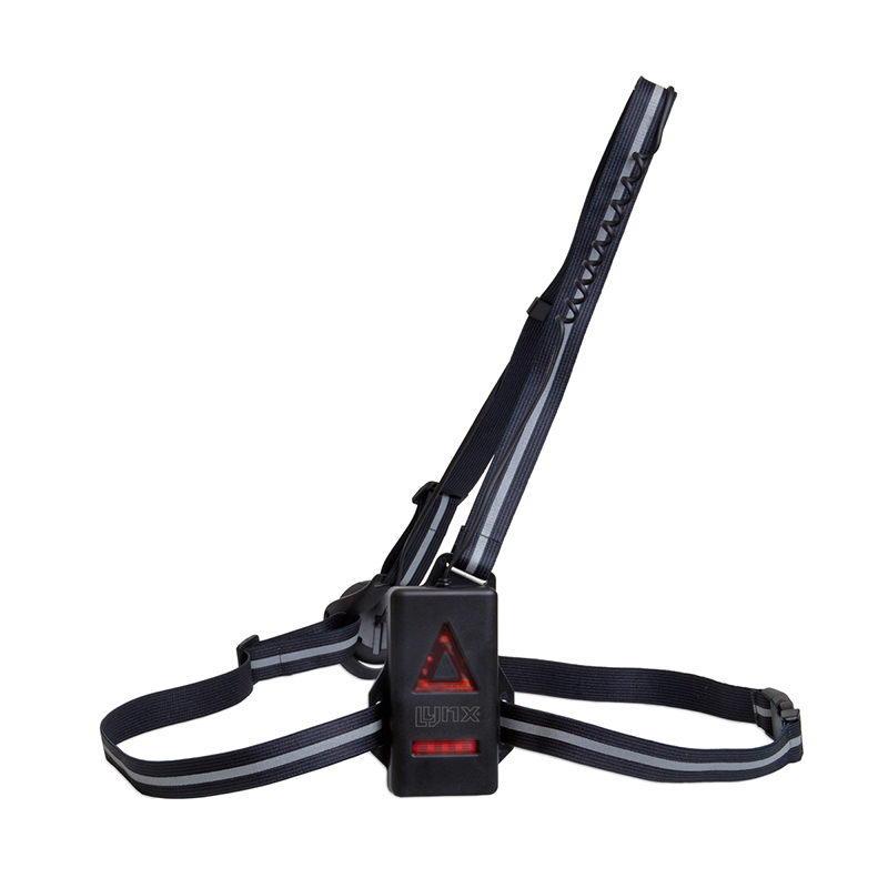 Load image into Gallery viewer, Lynx Hardloop licht USB Bolt