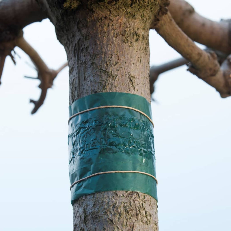 Load image into Gallery viewer, Nature Nature Insecten kleefband 150 cm 6060134