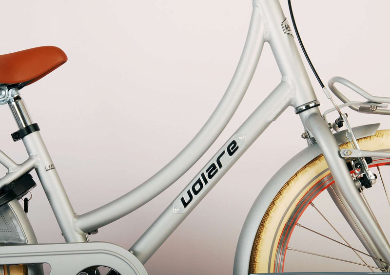 Load image into Gallery viewer, Volare Oma Kinderfiets Meisjes 20 inch Mat Zilver