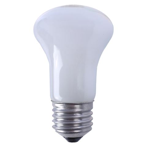 Load image into Gallery viewer, Falcon Eyes Halogeen Instellamp ML-60 60W E27 fitting