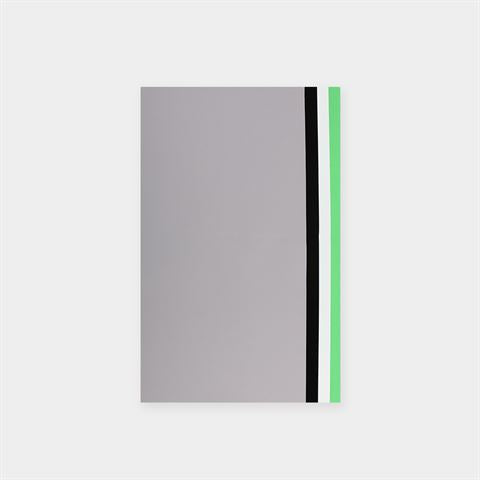 Load image into Gallery viewer, Orangemonkie Achtergronden F2BD voor Foldio2 4 Kleuren