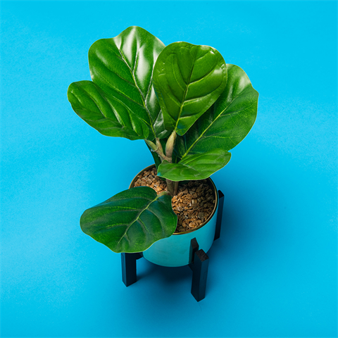 Load image into Gallery viewer, Superior achtergrondpapier 06 nassau 1,35 x 11m