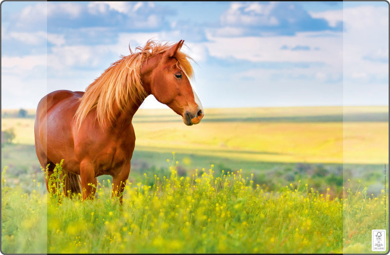 Load image into Gallery viewer, Kangaro k-0014d117 buro-onderlegger pp 38x58cm paard
