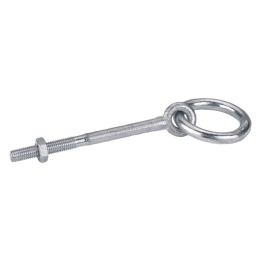 Muurring verzinkt m10 draad 2st