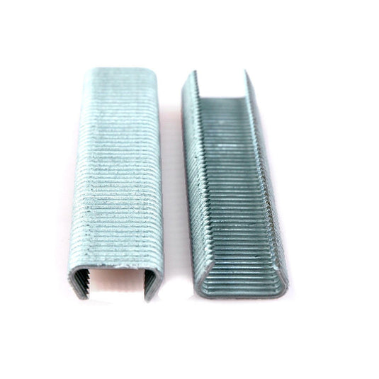 Giardino gaaskrammen verzinkt 20mm 200st