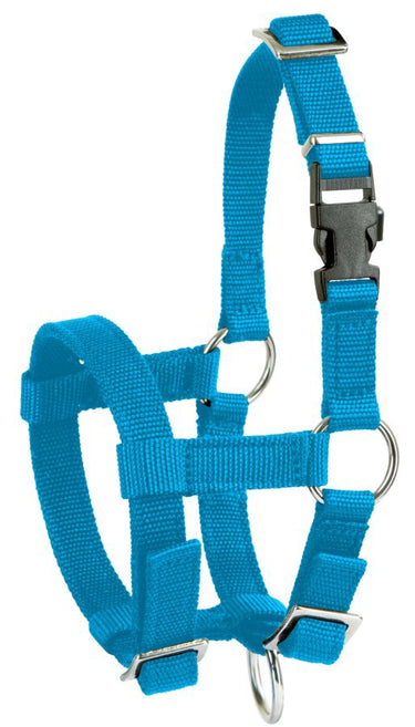 Producten alpaca halster blauw