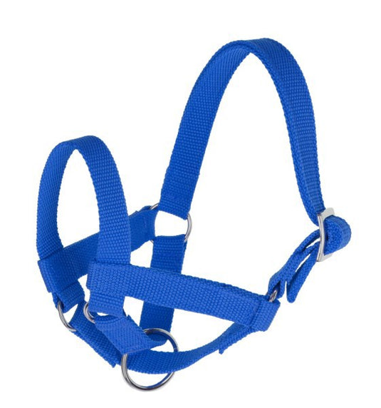 Lama halster blauw gr 60