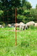Ako producten paaltje rood 108cm v schapennet dubbele pen