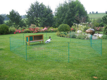 Ako producten konijnennet 65cm x 50m dubbele pen