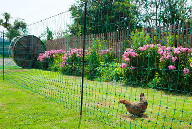 Ako producten kippennet 106cm 50m enkele pen groen