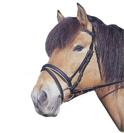 Producten hoofdstel standard leer zwart cob