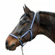 Abi producten hippo halster blauw 2 cob